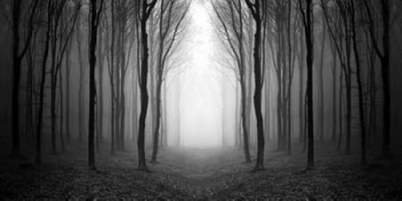 Dark Woods Poster Print by PhotoINC Studio - Item # VARPDXIN34042